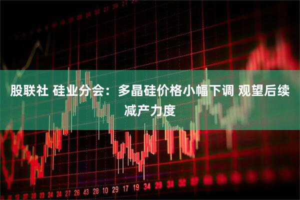股联社 硅业分会：多晶硅价格小幅下调 观望后续减产力度