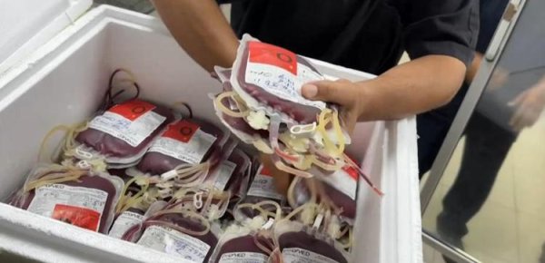 宏发证券 时隔三个多月 世卫组织首批医疗物资进入加沙地带