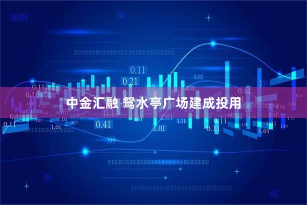 中金汇融 鸳水亭广场建成投用