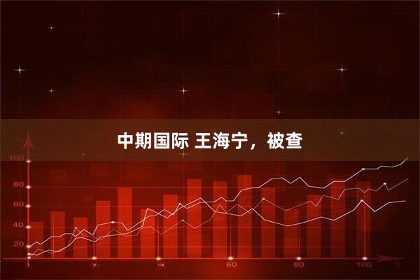 中期国际 王海宁，被查