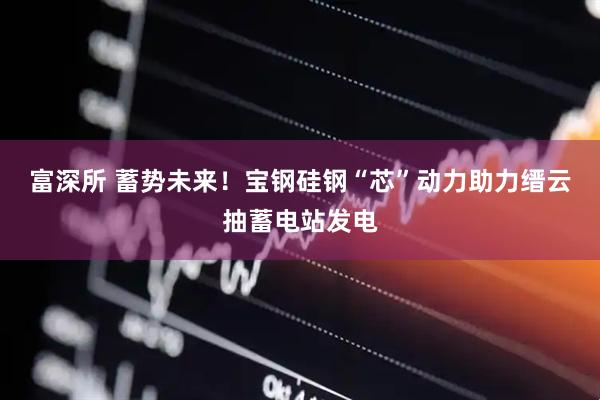 富深所 蓄势未来！宝钢硅钢“芯”动力助力缙云抽蓄电站发电