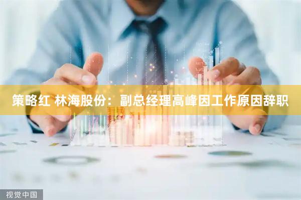 策略红 林海股份：副总经理高峰因工作原因辞职