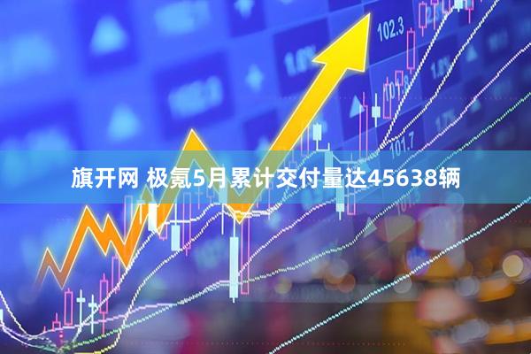 旗开网 极氪5月累计交付量达45638辆