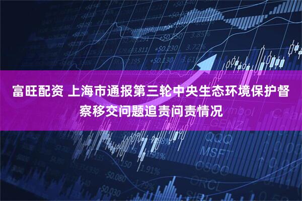 富旺配资 上海市通报第三轮中央生态环境保护督察移交问题追责问责情况