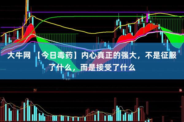 大牛网 【今日毒药】内心真正的强大，不是征服了什么，而是接受了什么